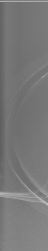 wp91beb907.png